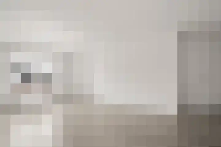 Veenderweg 8 A Bennekom thumbnail 14