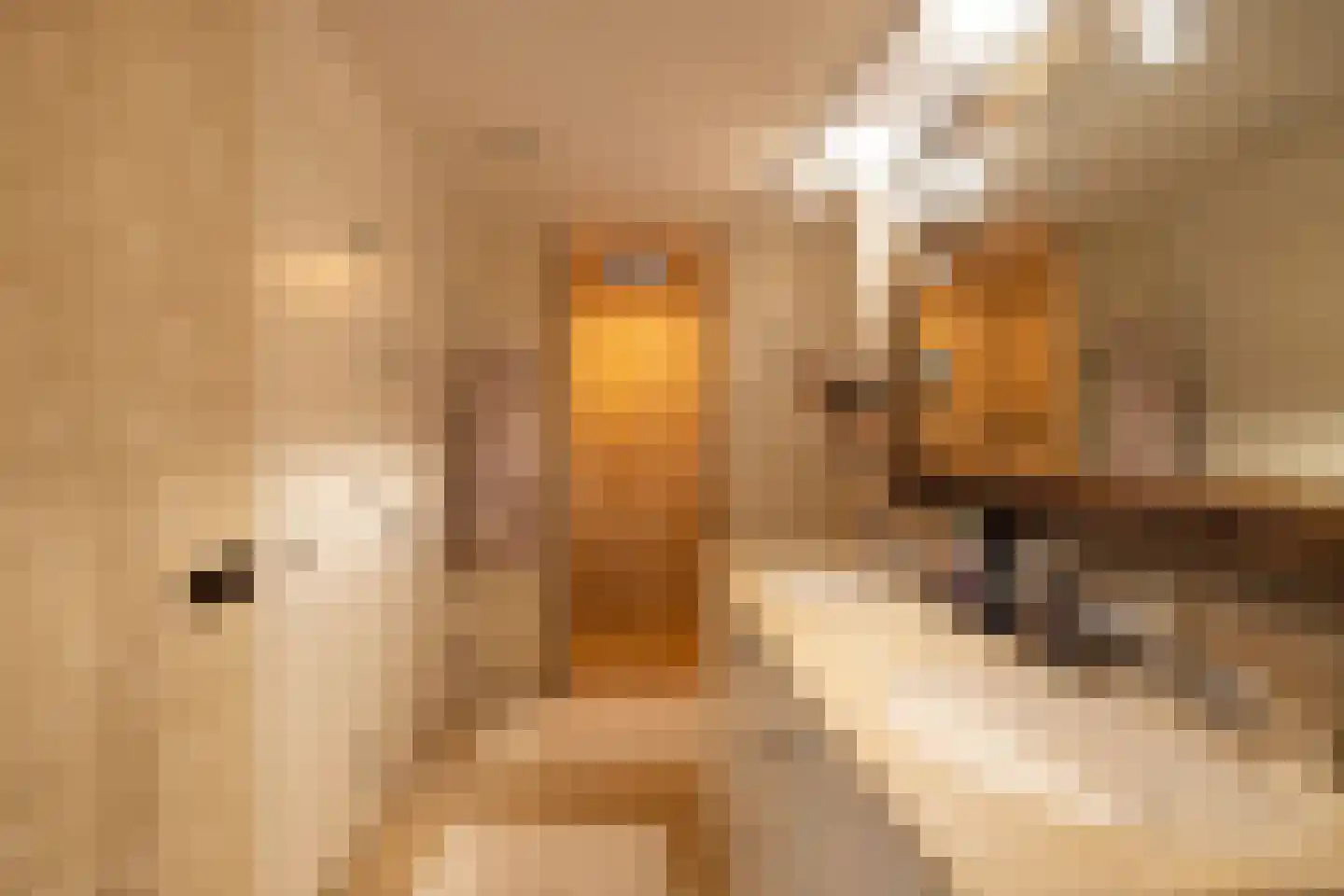 Veendijk 1 a 2 Loosdrecht thumbnail 13