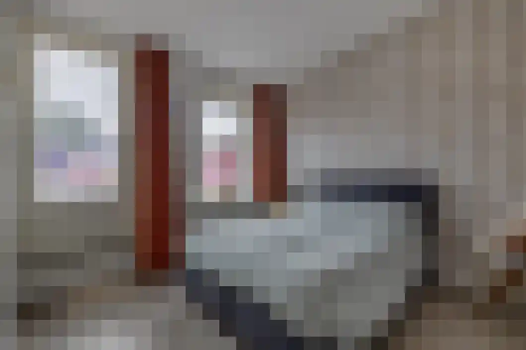 Veendijk 11 Zuidbroek thumbnail 33