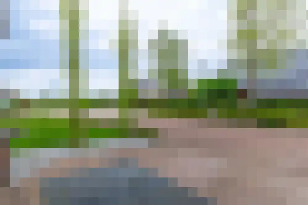 Veendijk 11 Zuidbroek thumbnail 39