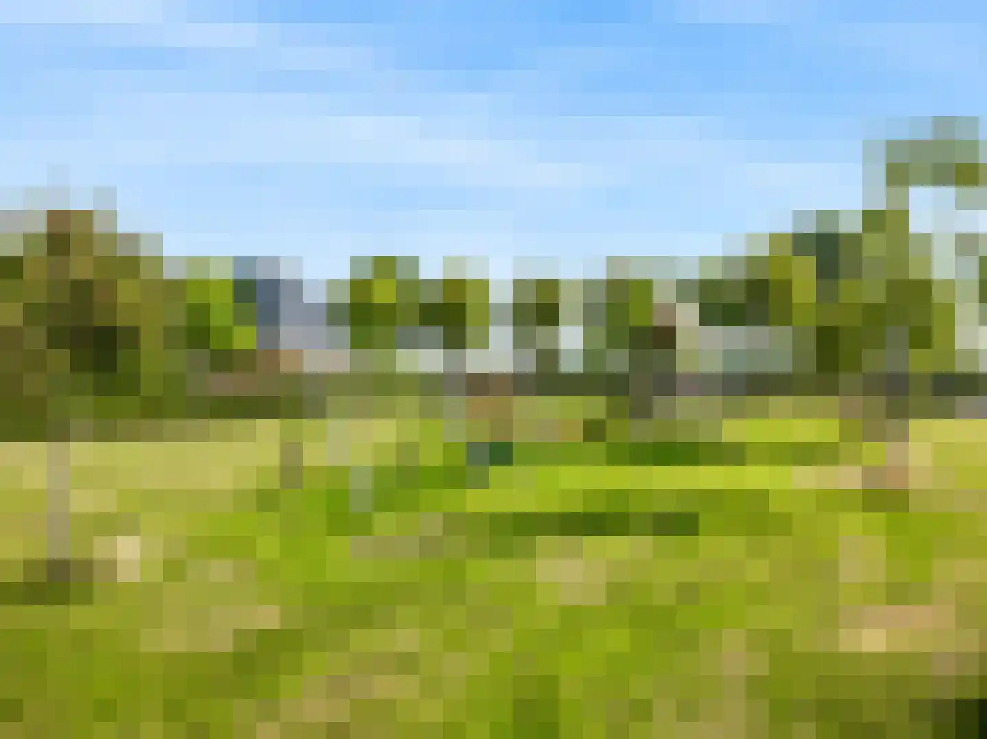 Veendijk 14 Zwaag thumbnail 29