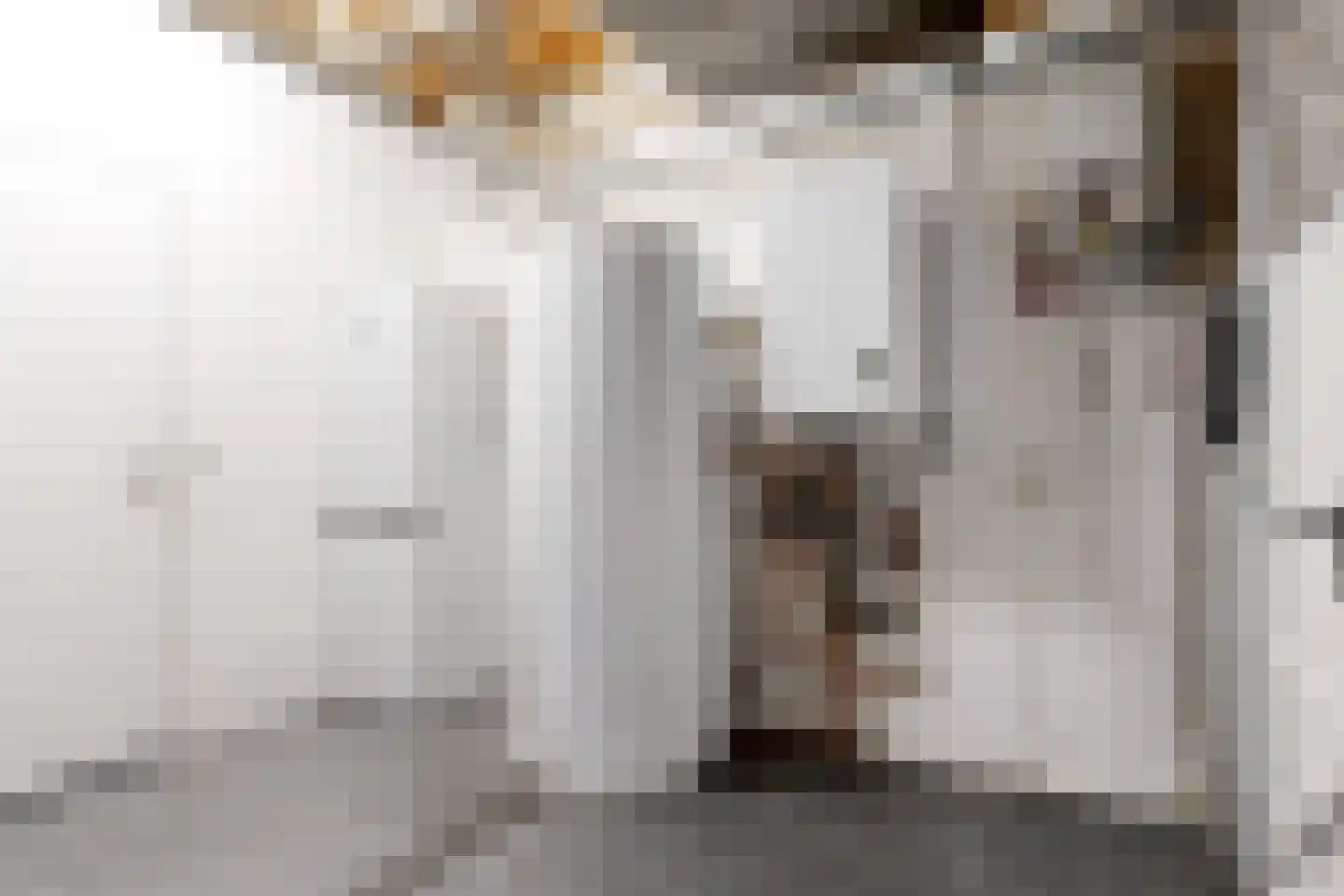 Veendijk 14 Zwaag thumbnail 39