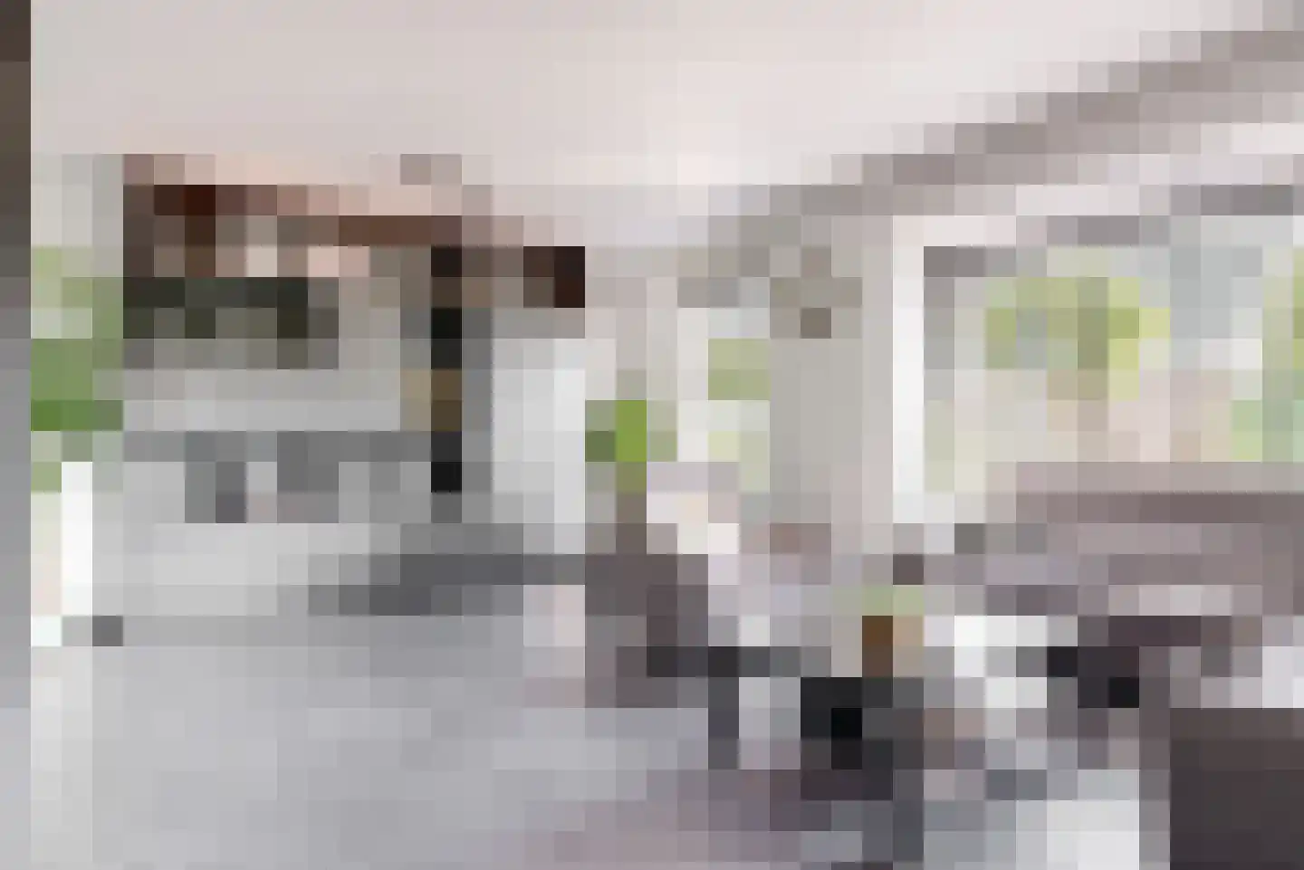 Veendijk 14 Zwaag thumbnail 4