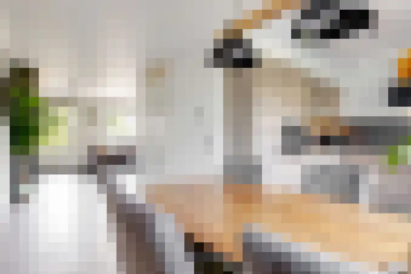 Veendijk 14 Zwaag thumbnail 7