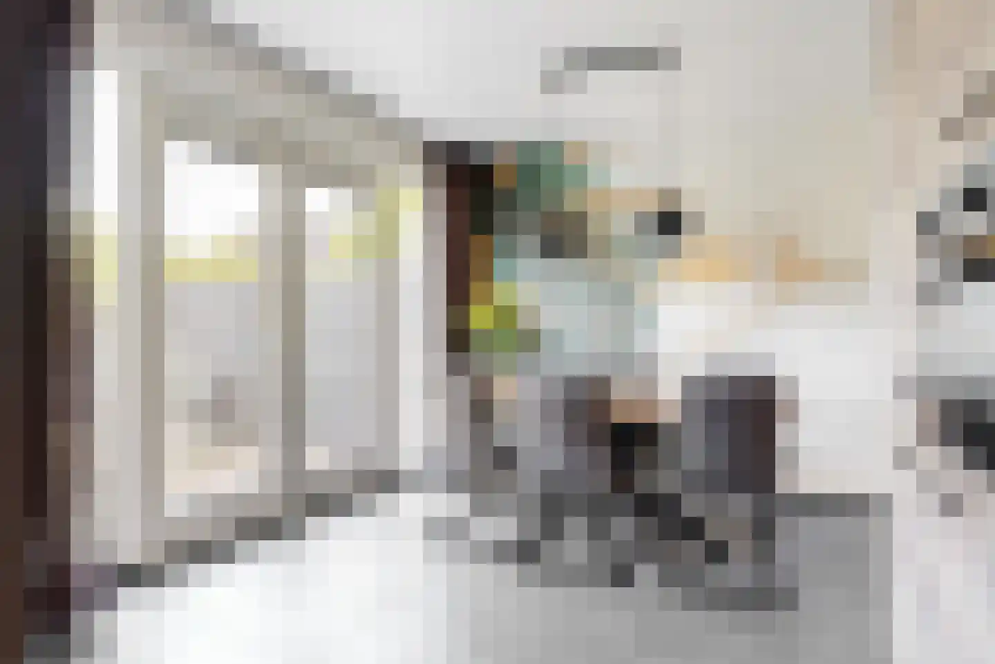 Veendijk 14 Zwaag thumbnail 9