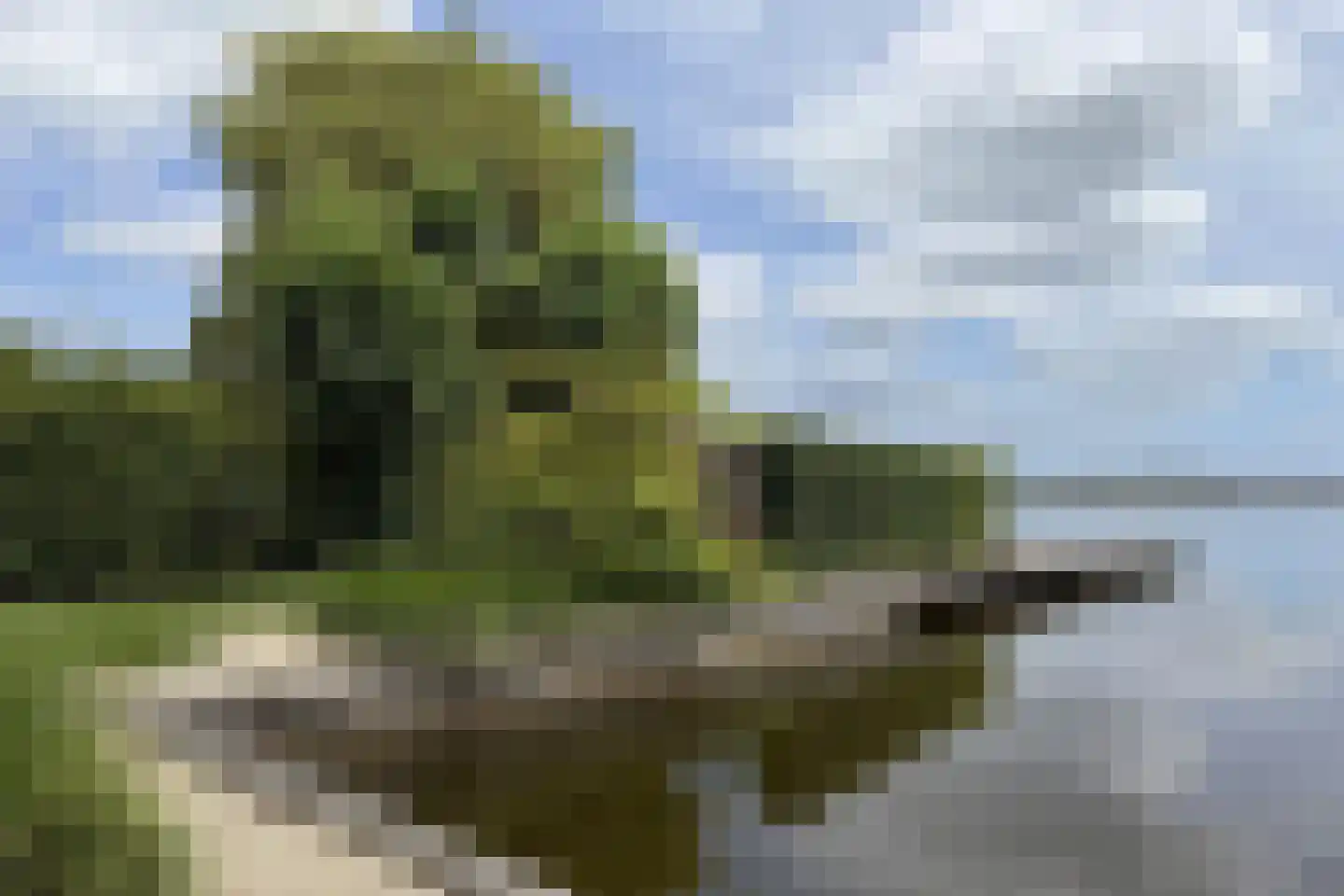 Veendijk 16 Loosdrecht thumbnail 42