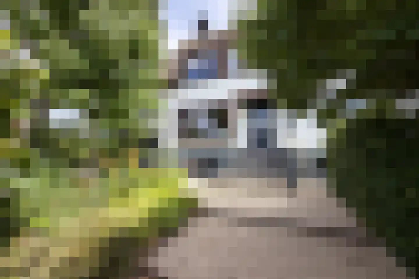 Veendijk 16 Loosdrecht thumbnail 6