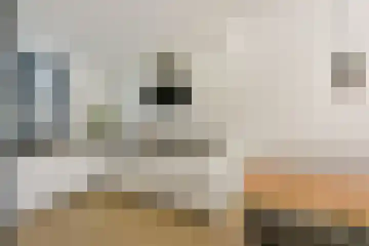 Veendijk 30 Wilnis thumbnail 10