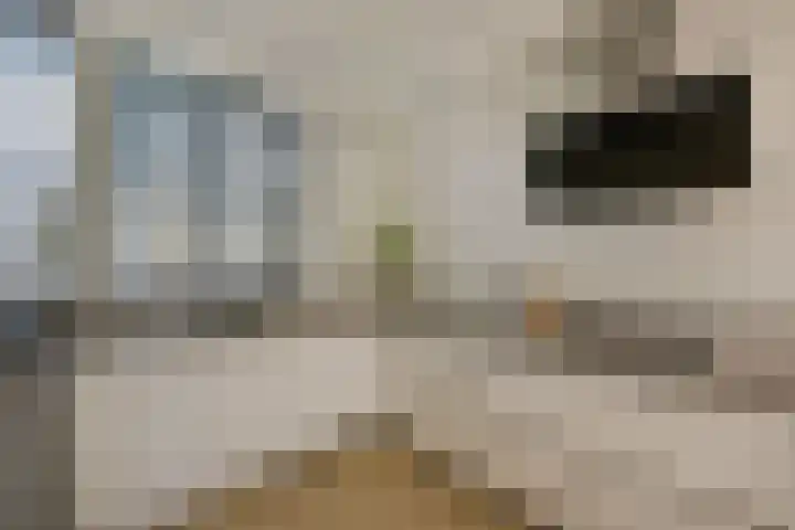Veendijk 30 Wilnis thumbnail 12