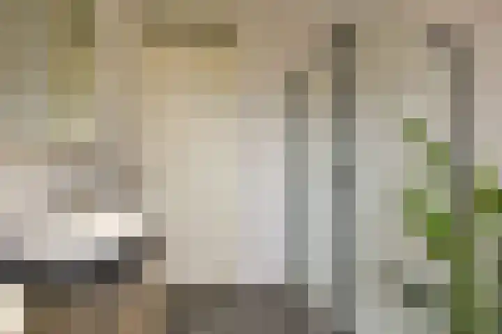 Veendijk 30 Wilnis thumbnail 20