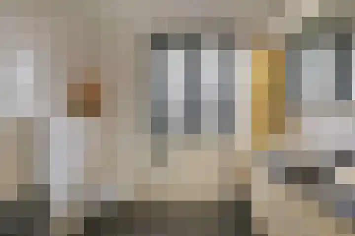 Veendijk 30 Wilnis thumbnail 21