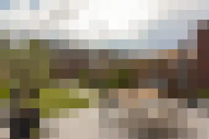 Veendijk 30 Wilnis thumbnail 27