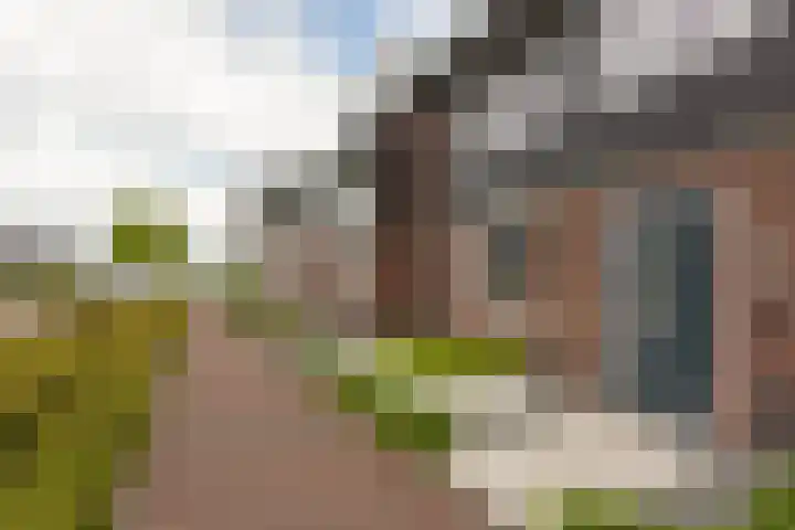 Veendijk 30 Wilnis thumbnail 31