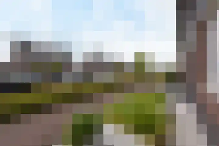 Veendijk 30 Wilnis thumbnail 33