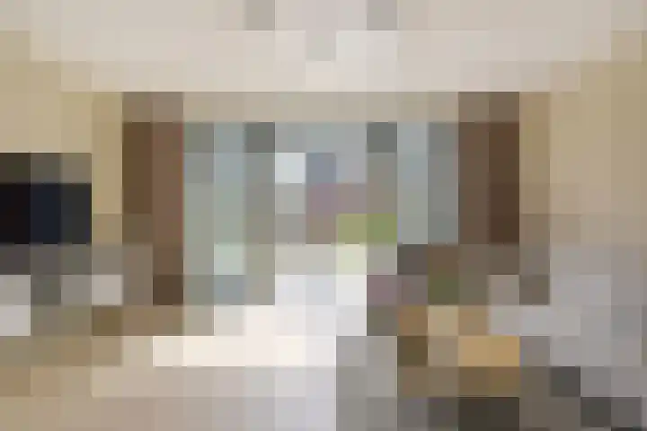 Veendijk 30 Wilnis thumbnail 4