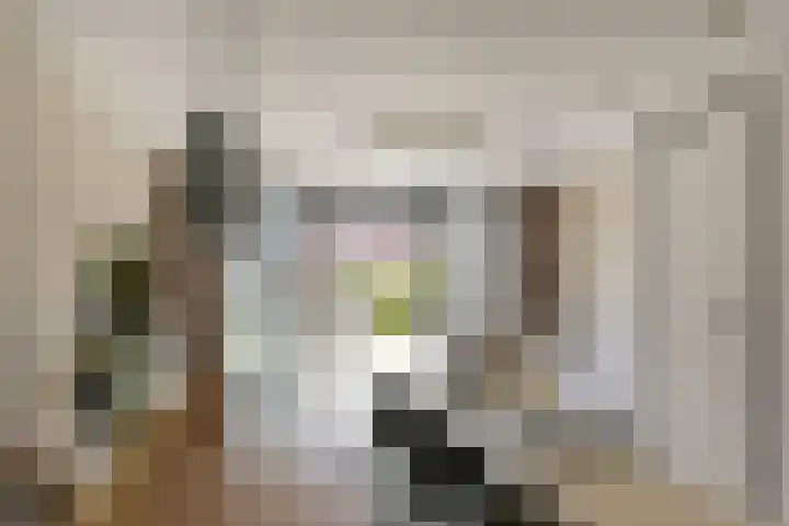 Veendijk 30 Wilnis thumbnail 6