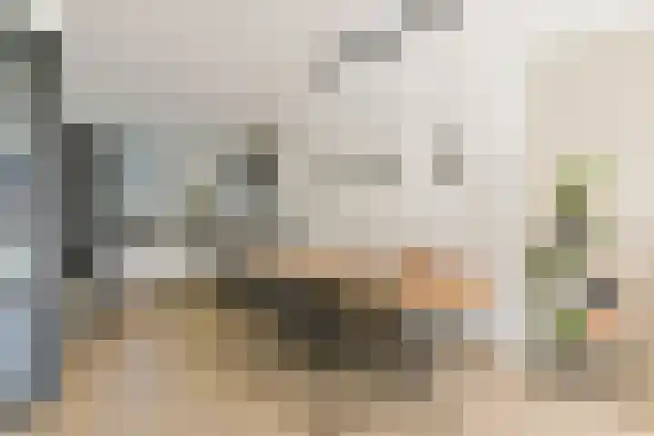Veendijk 30 Wilnis thumbnail 9