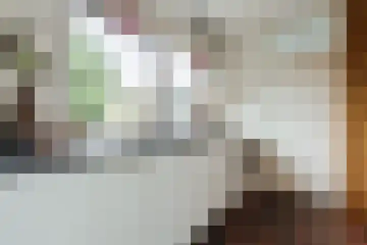 Veendijkstraat 2 Oude Pekela thumbnail 11