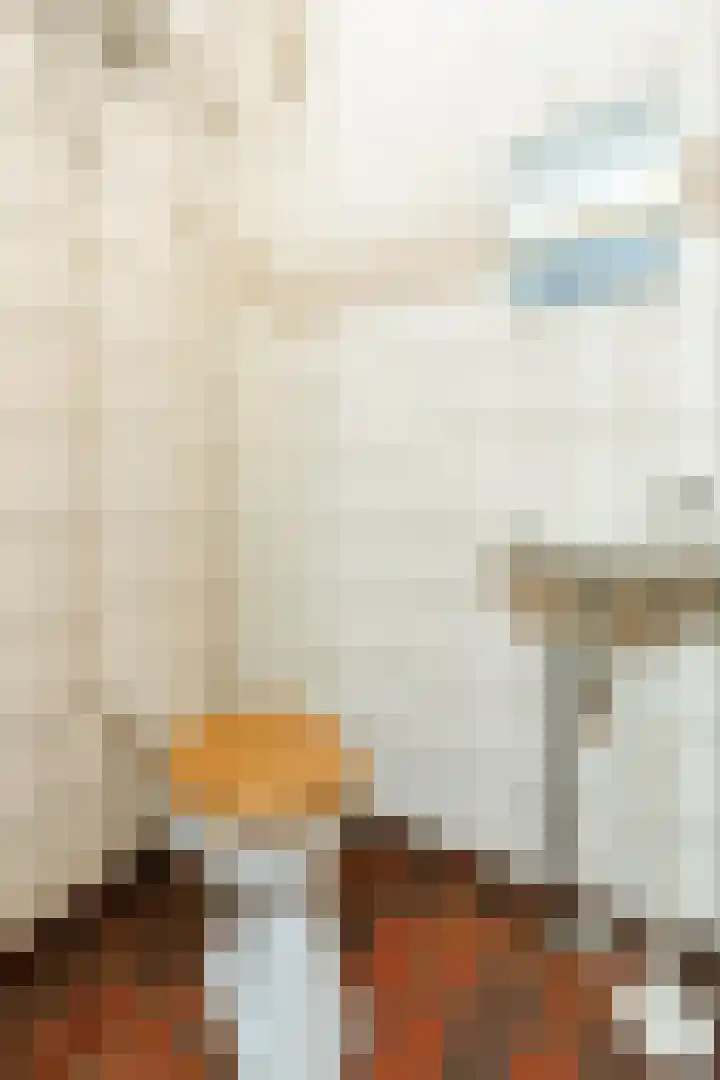 Veendijkstraat 2 Oude Pekela thumbnail 19
