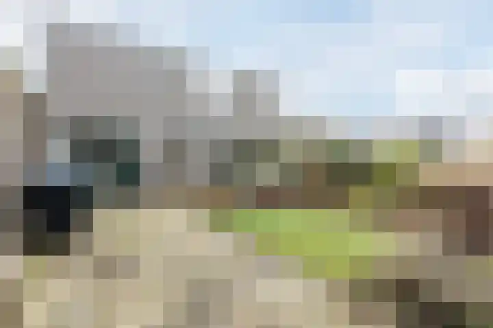 Veendijkstraat 2 Oude Pekela thumbnail 40