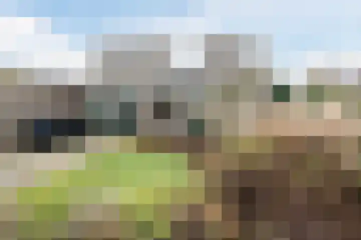 Veendijkstraat 2 Oude Pekela thumbnail 41