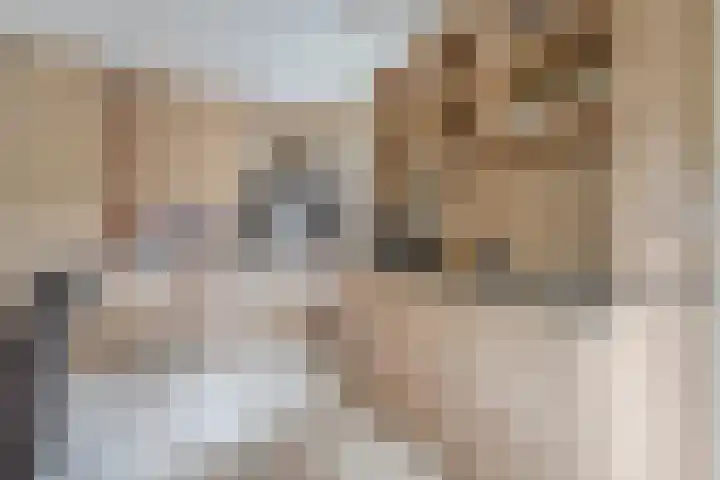 Veeneggeweg 4 Geesteren thumbnail 10