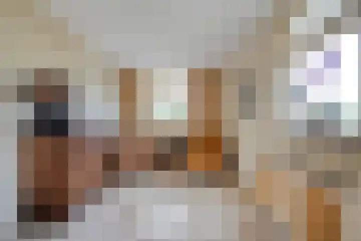 Veeneggeweg 4 Geesteren thumbnail 12