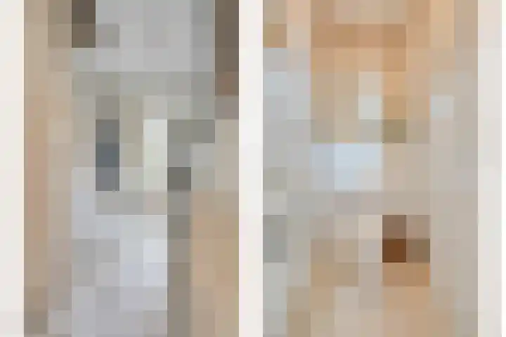 Veeneggeweg 4 Geesteren thumbnail 14