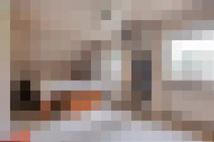 Veeneggeweg 4 Geesteren thumbnail 17