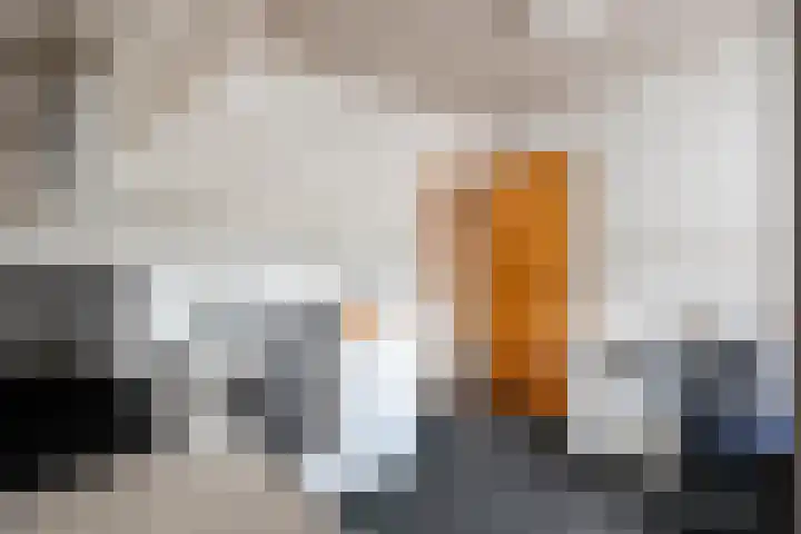 Veeneggeweg 4 Geesteren thumbnail 18