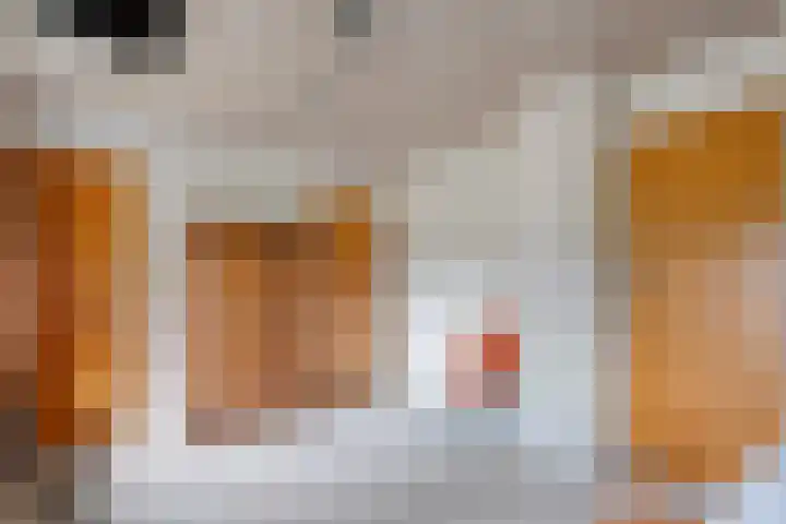 Veeneggeweg 4 Geesteren thumbnail 19