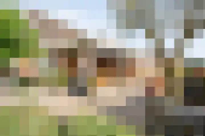 Veeneggeweg 4 Geesteren thumbnail 24
