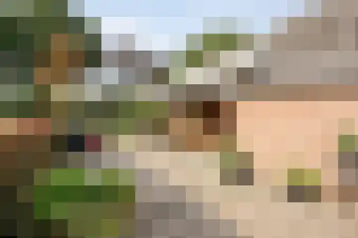 Veeneggeweg 4 Geesteren thumbnail 25