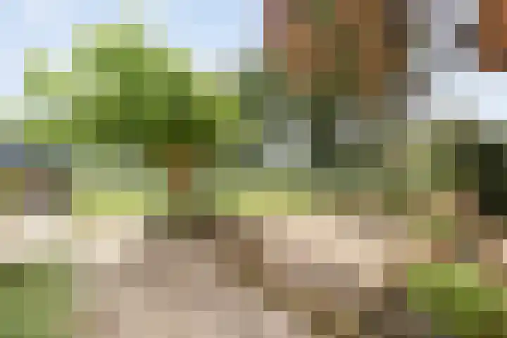 Veeneggeweg 4 Geesteren thumbnail 26