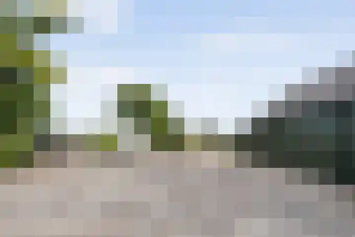 Veeneggeweg 4 Geesteren thumbnail 27