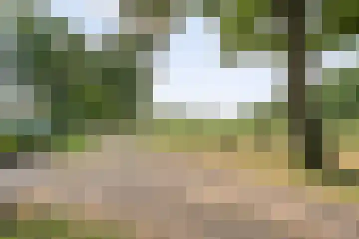 Veeneggeweg 4 Geesteren thumbnail 29