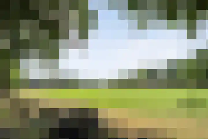 Veeneggeweg 4 Geesteren thumbnail 30