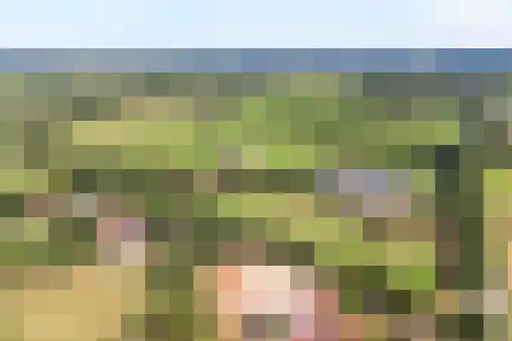 Veeneggeweg 4 Geesteren thumbnail 31