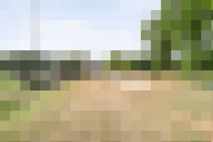 Veeneggeweg 4 Geesteren thumbnail 32