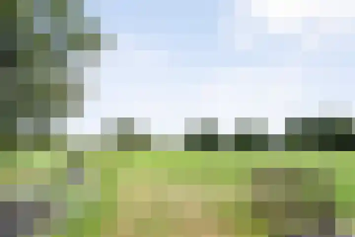 Veeneggeweg 4 Geesteren thumbnail 33