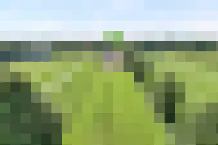 Veeneggeweg 4 Geesteren thumbnail 34