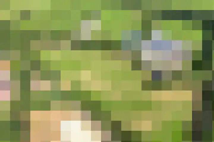 Veeneggeweg 4 Geesteren thumbnail 4