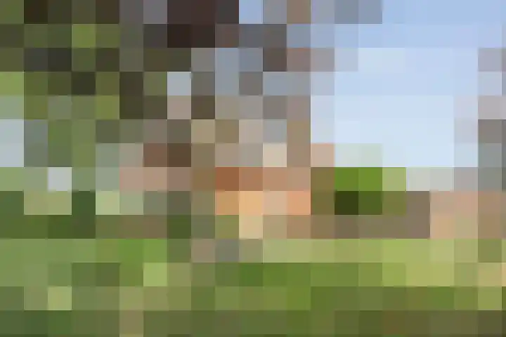 Veeneggeweg 4 Geesteren thumbnail 5