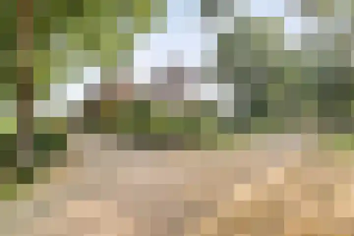 Veeneggeweg 4 Geesteren thumbnail 6