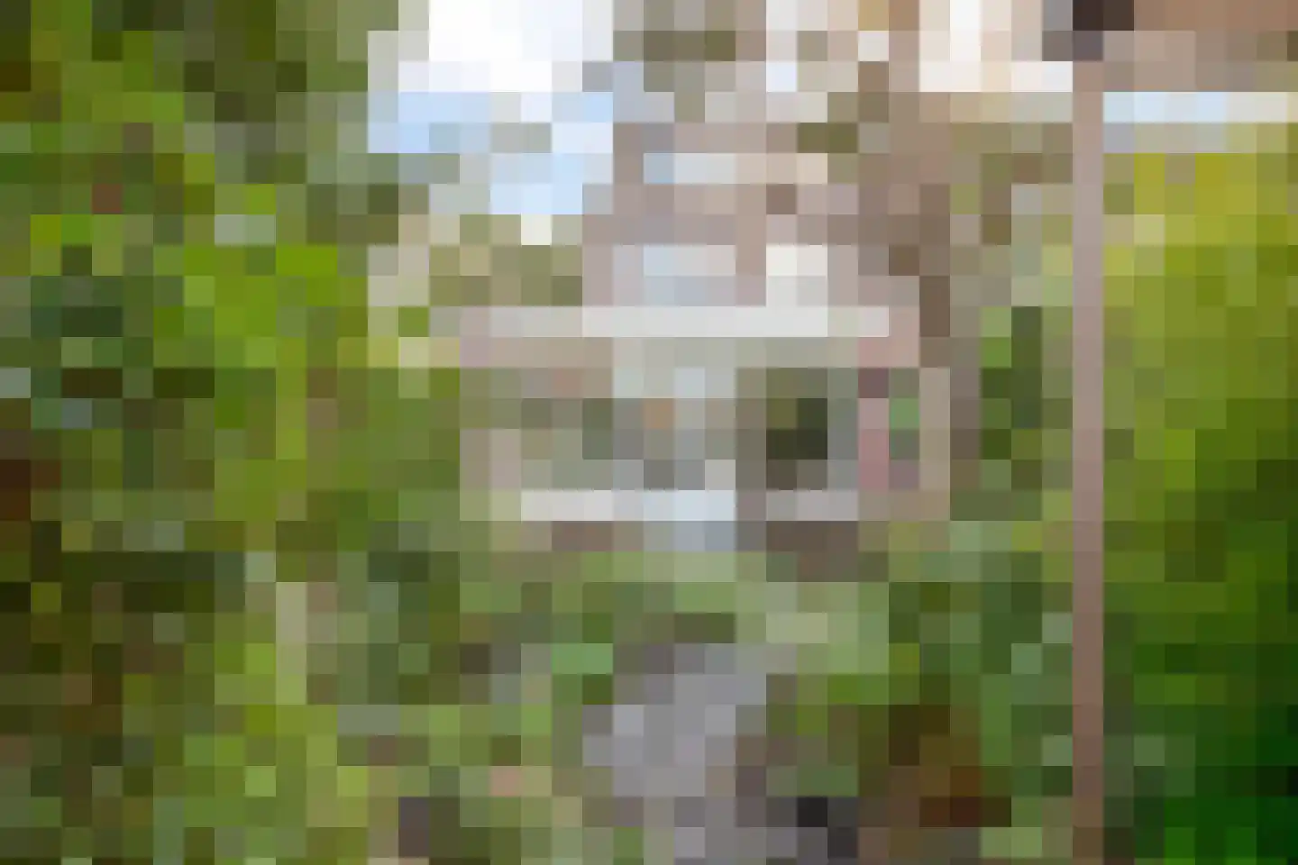 Veenenburg 2 Gouda thumbnail 5
