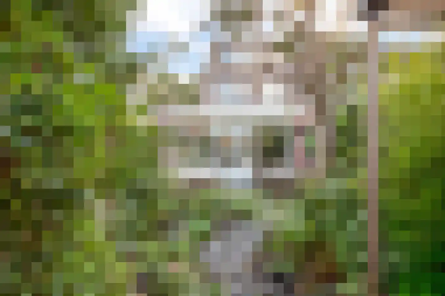 Veenenburg 2 Gouda thumbnail 62