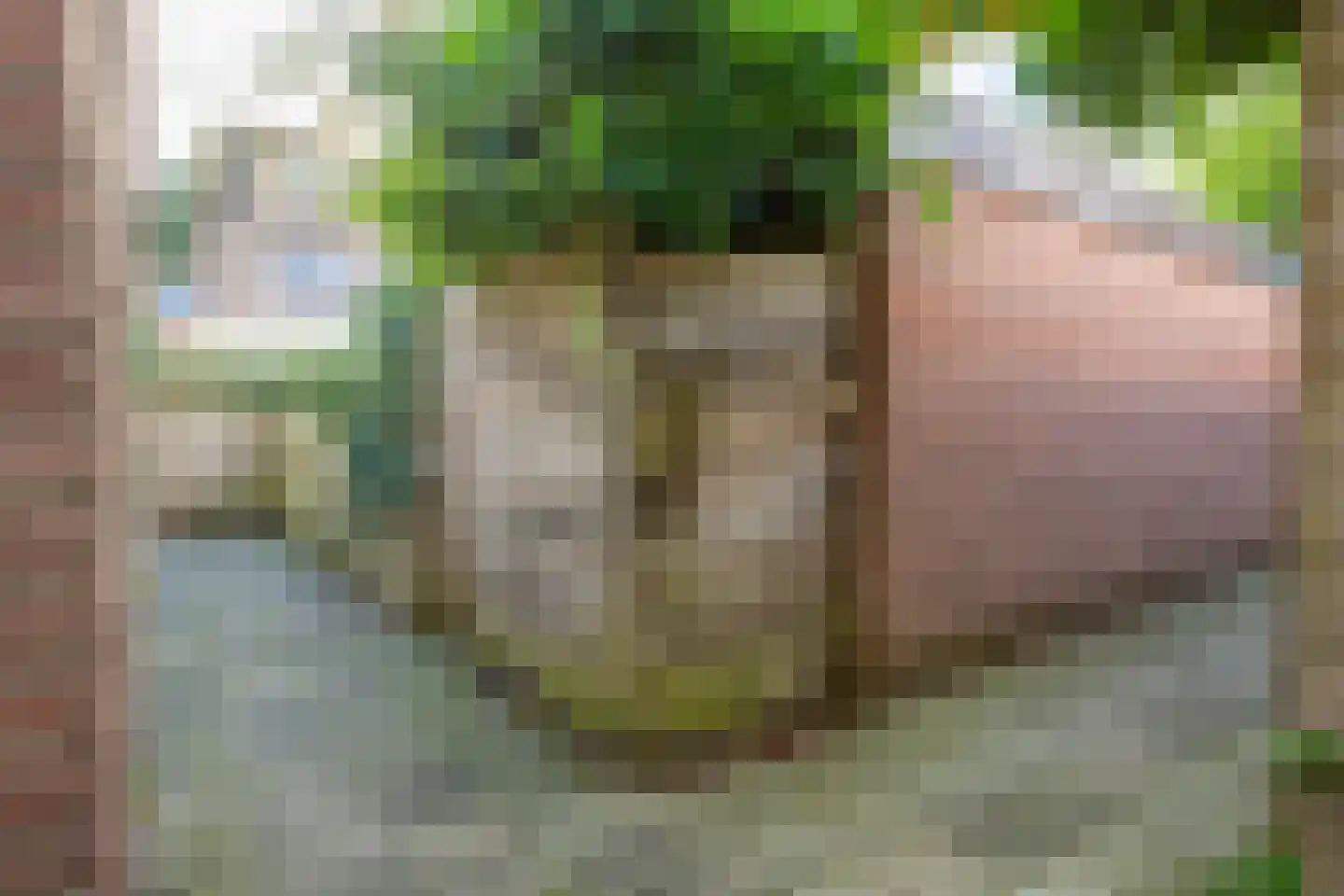 Veenenburg 2 Gouda thumbnail 65