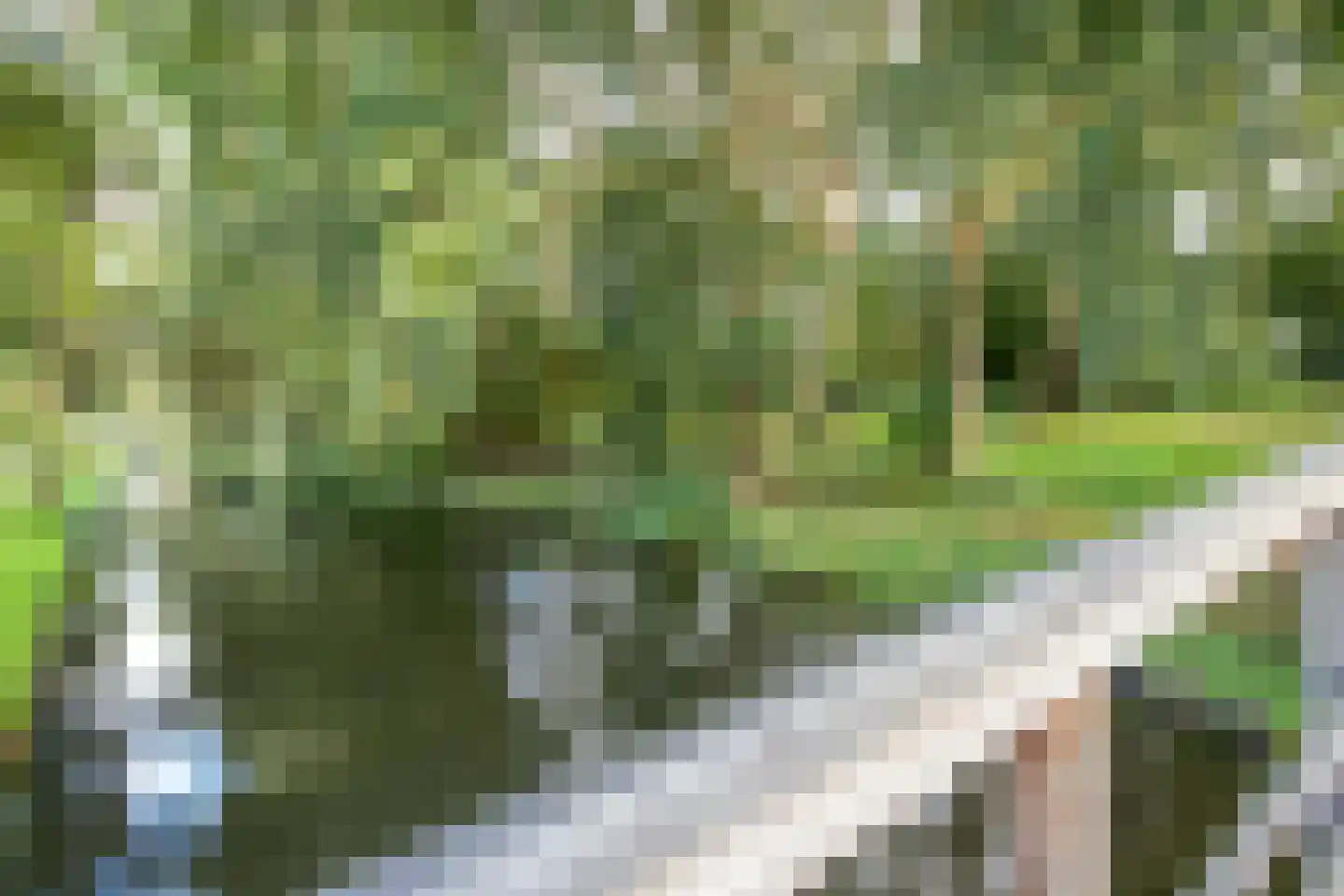 Veenenburg 2 Gouda thumbnail 69