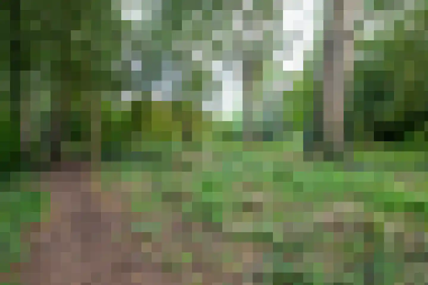 Veenenburg 2 Gouda thumbnail 71