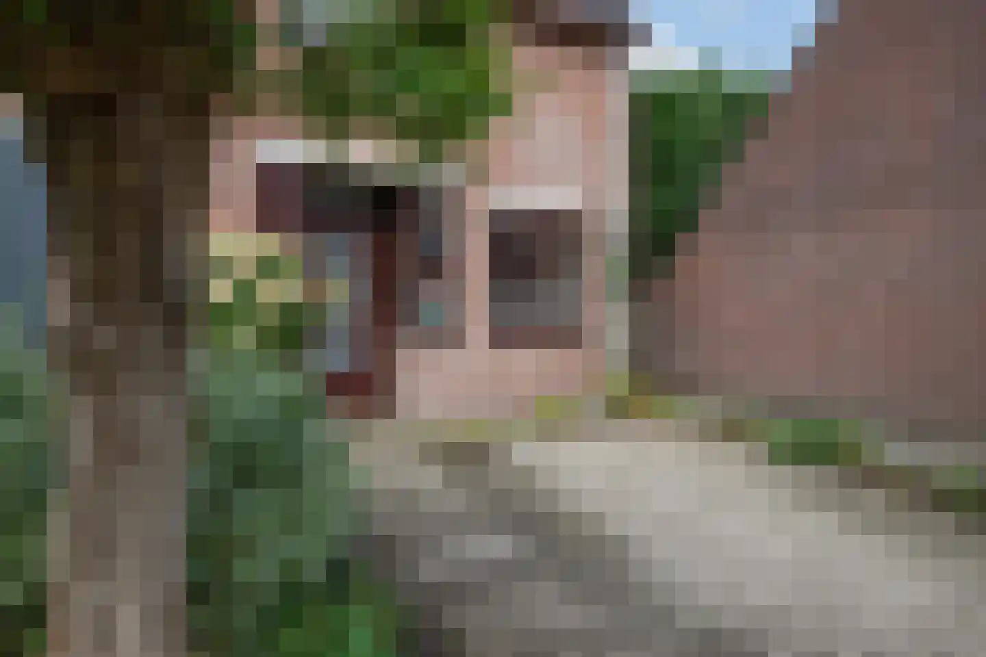 Veenenburg 2 Gouda thumbnail 8